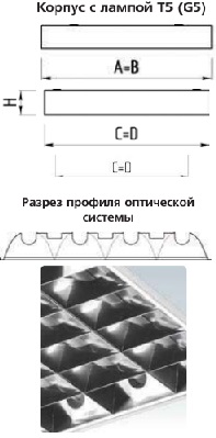 �������. �����